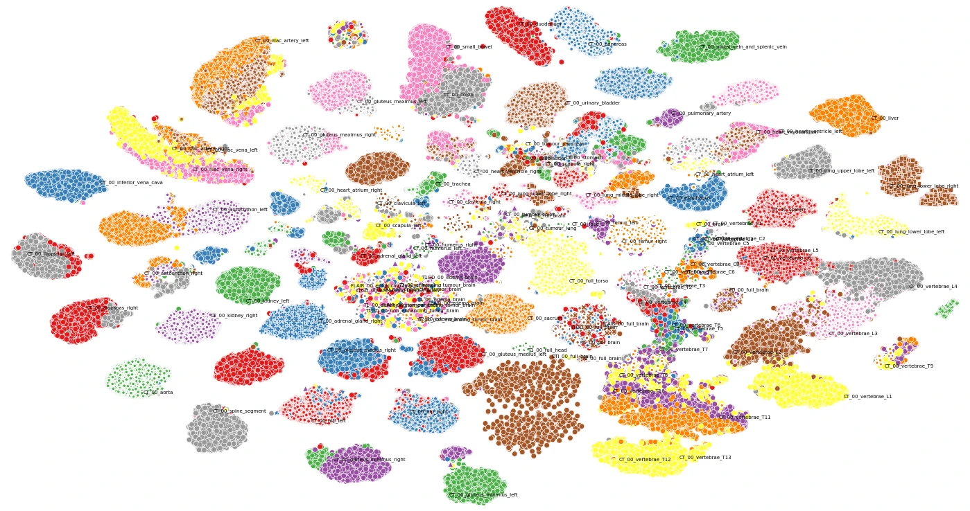 Trained embeddings